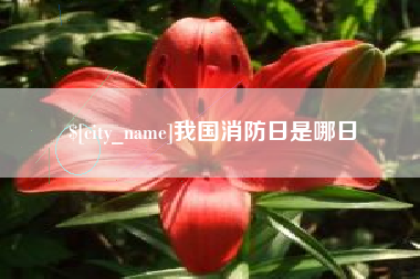 儋州我国消防日是哪日