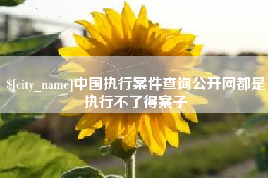 儋州中国执行案件查询公开网都是执行不了得案子