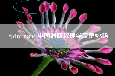 儋州中国消防救援学院是985吗