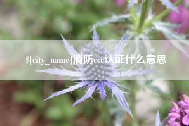 儋州消防ccc认证什么意思