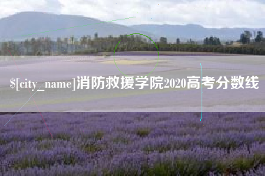 儋州消防救援学院2020高考分数线