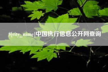 儋州中国执行信息公开网查询