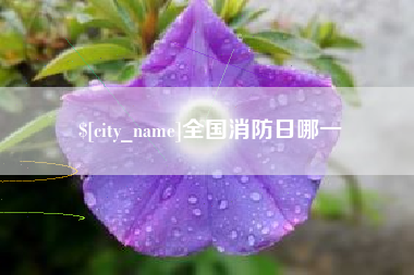 儋州全国消防日哪一
