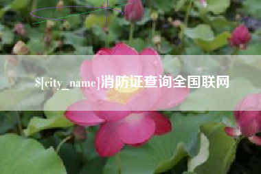 儋州消防证查询全国联网
