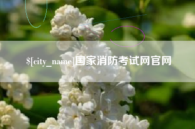 儋州国家消防考试网官网