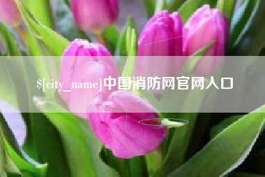 儋州中国消防网官网入口