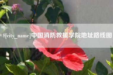 儋州中国消防救援学院地址路线图
