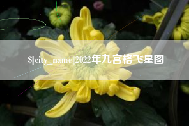 儋州2022年九宫格飞星图