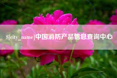 儋州中国消防产品信息查询中心