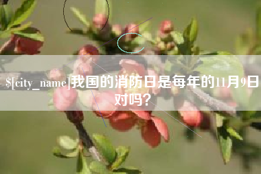 儋州我国的消防日是每年的11月9日对吗？