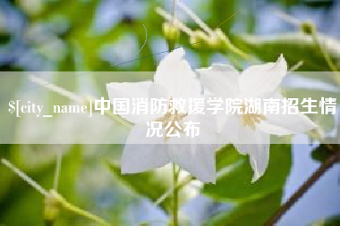 儋州中国消防救援学院湖南招生情况公布