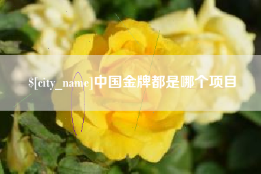 儋州中国金牌都是哪个项目