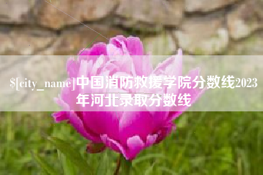 儋州中国消防救援学院分数线2023年河北录取分数线