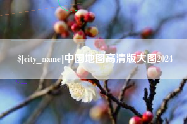 儋州中国地图高清版大图2024