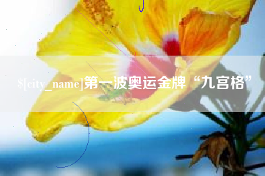 儋州第一波奥运金牌“九宫格”