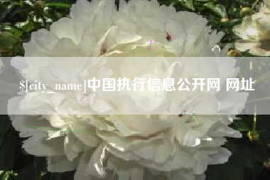 儋州中国执行信息公开网 网址