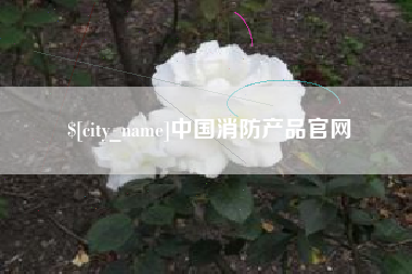儋州中国消防产品官网