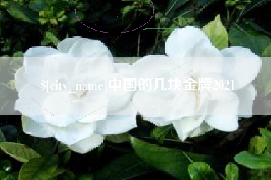 儋州中国的几块金牌2021