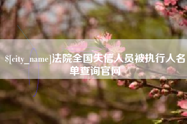 儋州法院全国失信人员被执行人名单查询官网