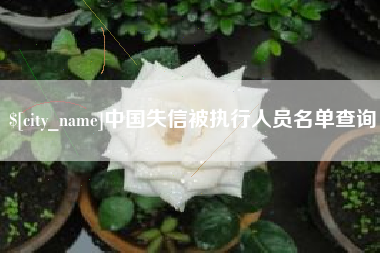儋州中国失信被执行人员名单查询