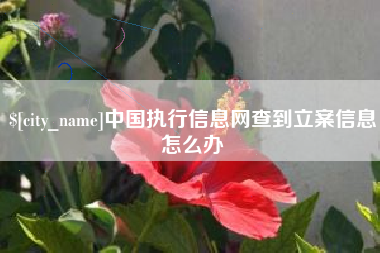 儋州中国执行信息网查到立案信息怎么办