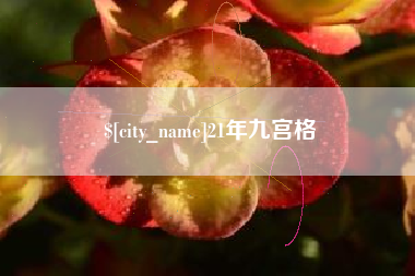 儋州21年九宫格