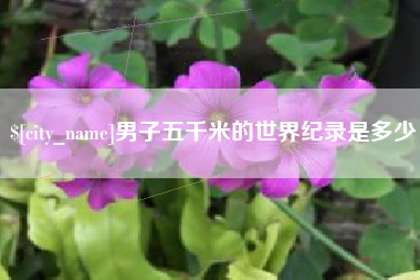 儋州男子五千米的世界纪录是多少