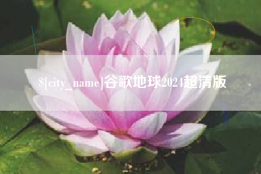 儋州谷歌地球2024超清版