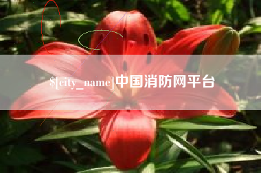 儋州中国消防网平台