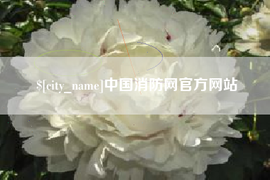 儋州中国消防网官方网站