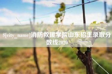 儋州消防救援学院山东招生录取分数线2020