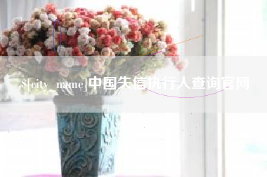 儋州中国失信执行人查询官网