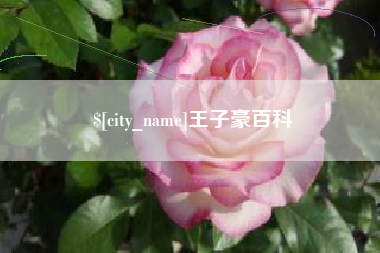 儋州王子豪百科