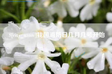 儋州我国消防日几月几号开始