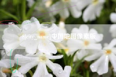 儋州中国地图像素版