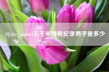 儋州五千米世界纪录男子是多少