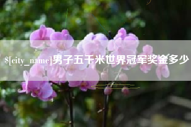 儋州男子五千米世界冠军奖金多少