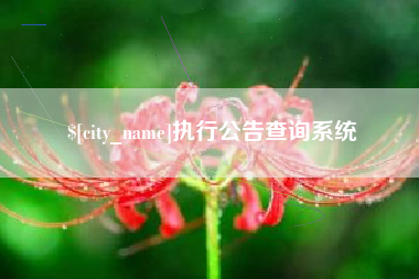 儋州执行公告查询系统