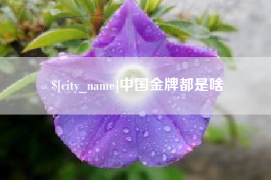 儋州中国金牌都是啥