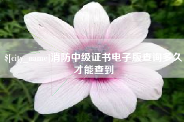 儋州消防中级证书电子版查询多久才能查到