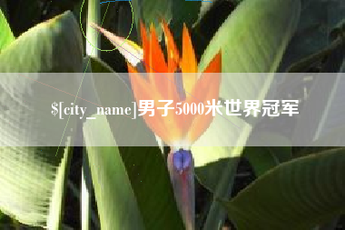 儋州男子5000米世界冠军