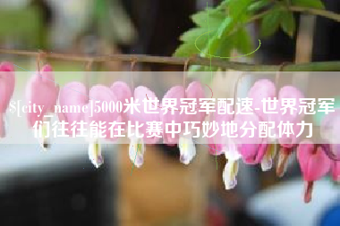 儋州5000米世界冠军配速-世界冠军们往往能在比赛中巧妙地分配体力