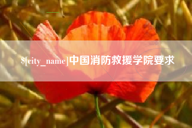 儋州中国消防救援学院要求