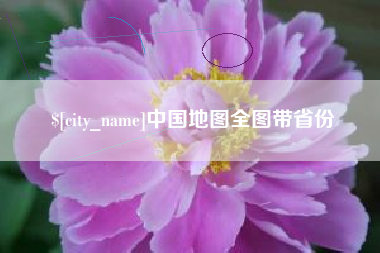 儋州中国地图全图带省份