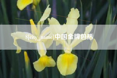 儋州中国金牌包括