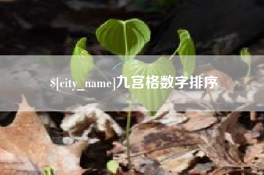 儋州九宫格数字排序