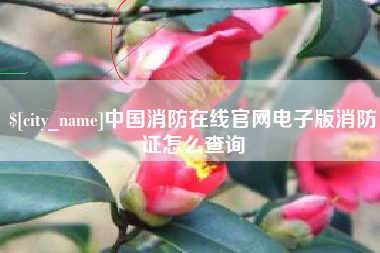 儋州中国消防在线官网电子版消防证怎么查询