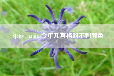 儋州今年九宫格的不利颜色