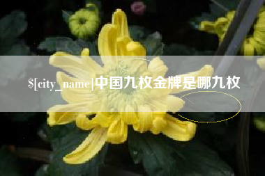 儋州中国九枚金牌是哪九枚