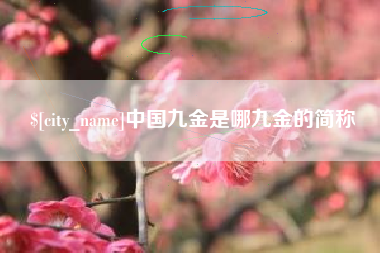 儋州中国九金是哪九金的简称